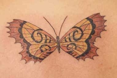 1036 butterfly tattoo