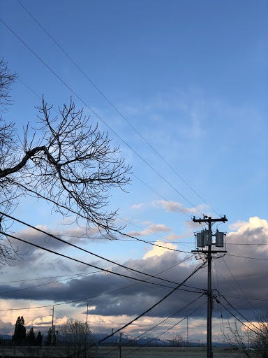 A power line pole stands against a partly cloudy sky. Power lines stretch in every direction from various points on the pole. Coming into the frame from the left, a tree branch seems poised to touch the lines as it grows.