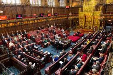 The House of Lords, in debate