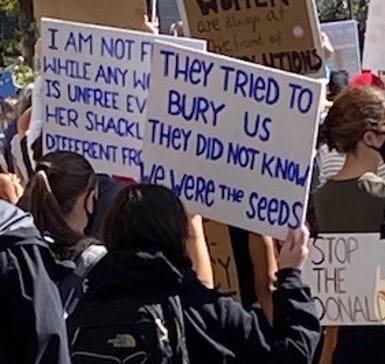 Sign reading “They tried to bury us. They did not know we were the seeds.”