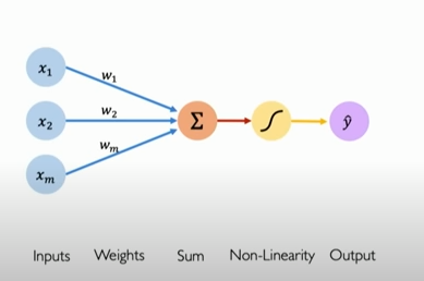 The perceptron