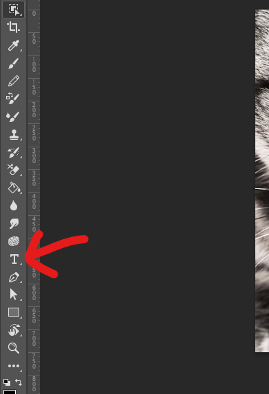 Text Tool in Photoshop