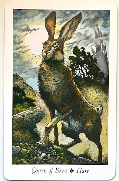 Queen of Bows — Hare, from the Wildwood Tarot