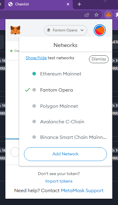 The main ERC 20 chains added into MetaMask