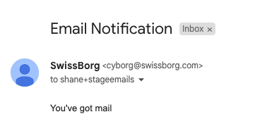 Example of an Email Notification