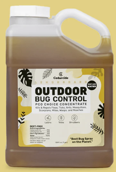 A jug of bug control concentrate, brown and cedar-scented, similar to what I used.