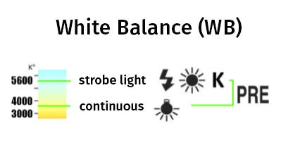 White Balance Chart