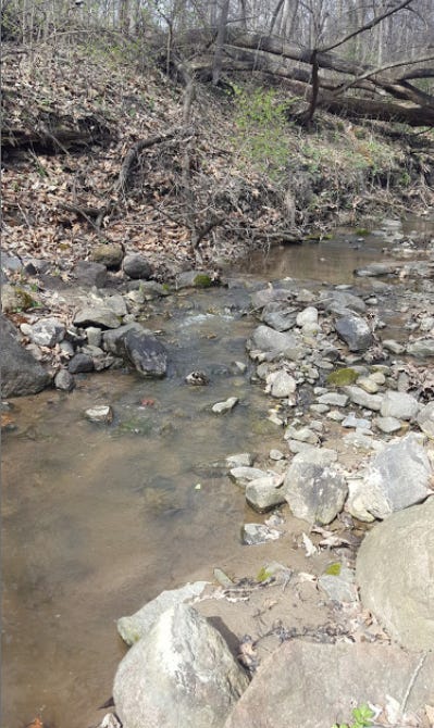 Rocky stream at Ashton Wildwoods Park