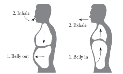 Abdominal Breathing