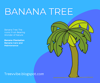 https://treevibe.blogspot.com/2023/07/Banana-Tree.html