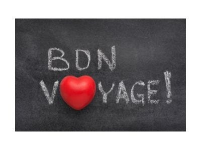 The words bon voyage with the o in voyage as a red heart time for senior travel.