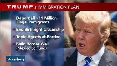 Image result for trump immigration reform
