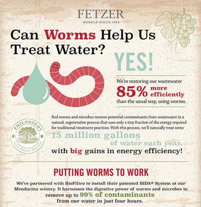 thumbnail of Fetzer's Worm's help save water Infographic.