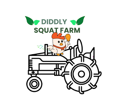 diddly squat farm | Customer Reviews for Diddly Squat Farm Shop
