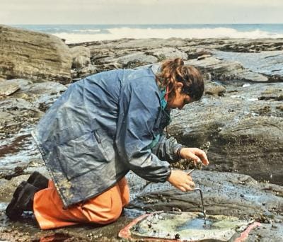 Karina Nielsen kneels on rocks at a tidepool. She is wearing a rain jacket and pants and using a small hand drill to boar a hole in the rock.