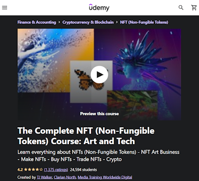 best Udemy course to learn NFTs