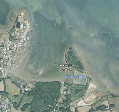 Satellite view of the Truscat Peninsula from Apple Maps