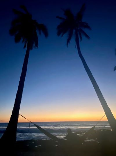 Beach sunset with palm trees in Hawaii