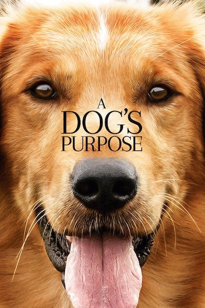 A Dog’s Purpose