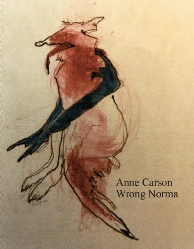 wrong norma
