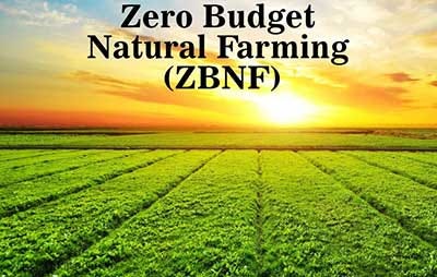 Zero Budget Natural Farming, ZBNF practices, organic farming India.