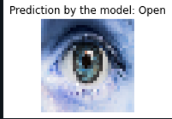 predictions of the model- open