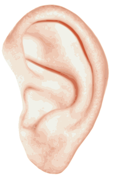 A illustration of an ear viewed from a side angle