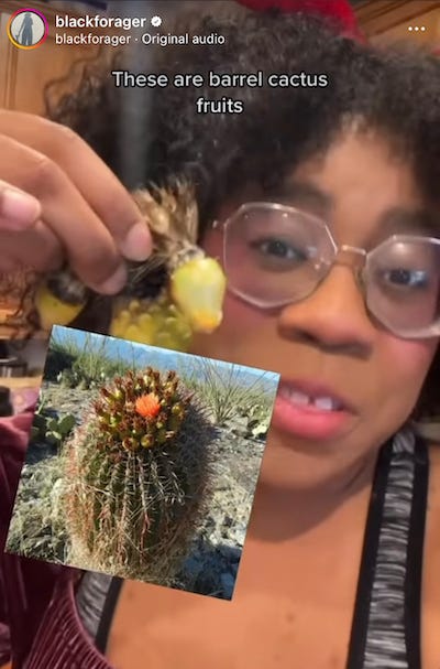 Close-up image of Alexis Nicole (Black Forager) holding a barrel cactus fruit up toward the camera, with a photo of a barrel cactus collaged on top of the image.