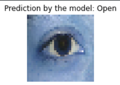 Prediction by the model: open