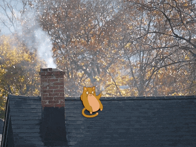 Documentary style animation of camera filming a cat drinking coffee on a roof