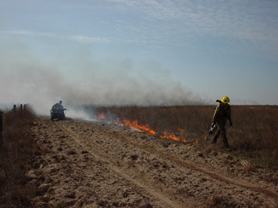 two firefighters implementing a prescribed burn on the prairie