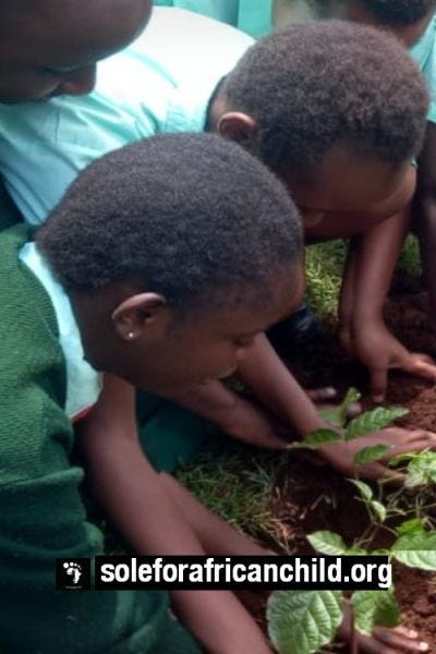 school girls planting trees