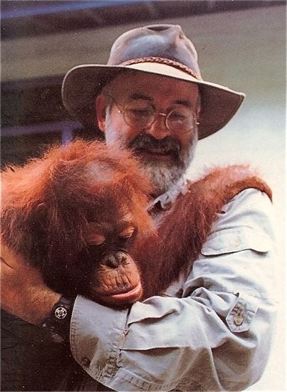 Sir Terry Pratchett holding a lovely orangutan and grinning like a fool.