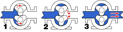 Rotary Lobe Pump