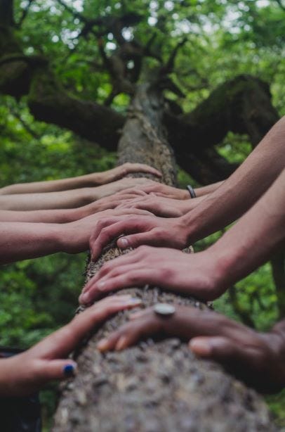 hands on a tree log coming from 2 different directions