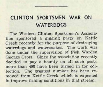 a newspaper clipping declaring war on waterdogs
