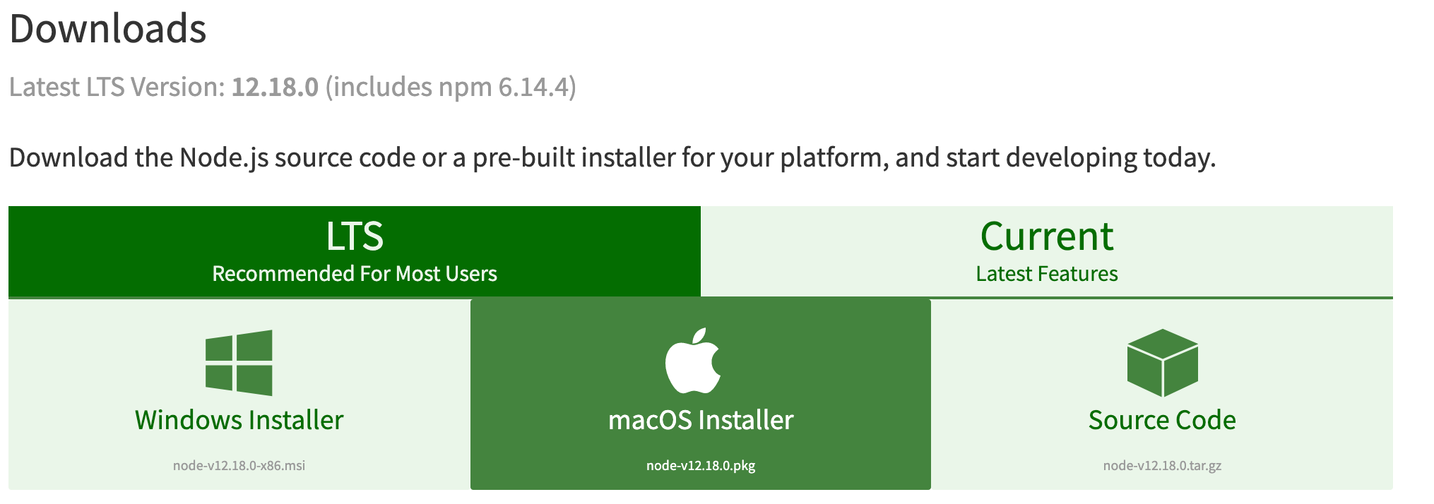 If you are working from a Mac, simply select “macOS Installer” highlighted in green.