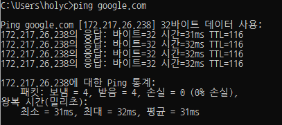 구글에 Ping을 쳐보면 구글 웹 서버의 원래 IP주소가 드러난다.