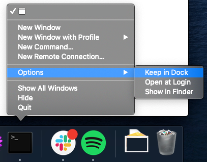 Right click on Terminal, Options, Keep in Dock