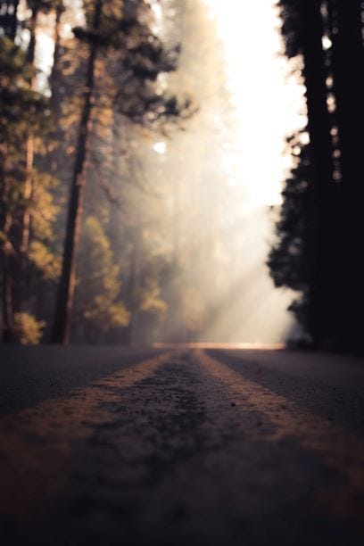 path in the woods — visible light shining in the distance