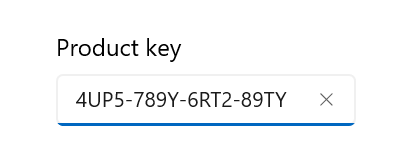 WinUI MaskedTextBox control with header