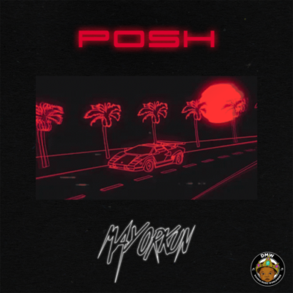 Mayorkun-Posh-lailasnews