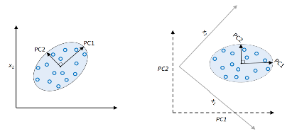 Visualisation of the creation of 2 principal components out of the original x2 and x1 values.