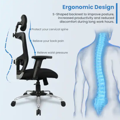 Ergonomic Office Chair