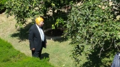 Trump upset about the illegals in the garden