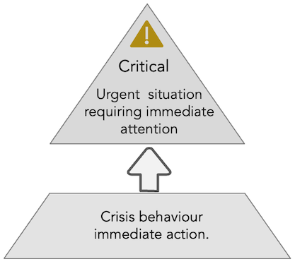 critical management situations