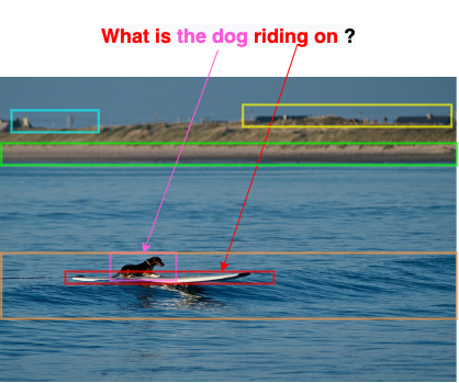 dog on surfboard