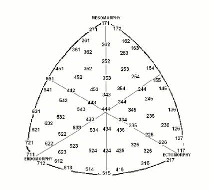 Somatotype Chart Hard gainers Muscular build People with more fat cells than others