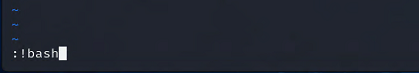 A screenshot displaying the ‘:!bash’ command in vim that will be used to launch a privileged shell.