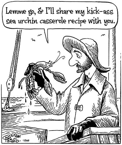 Comic illustration of a lobster fisherman on a boat holding a lobster. The lobster says to him, “Lemme go, & I’ll share my kick-ass sea urchin casserole recipe with you.”
